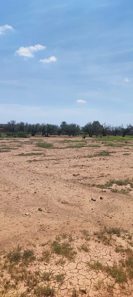 PHOTO-2025-08-26-14-50-36 2.webp