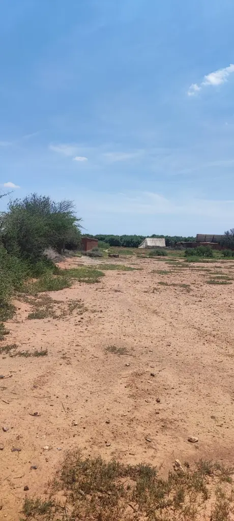 PHOTO-2025-08-26-14-50-36 3.webp