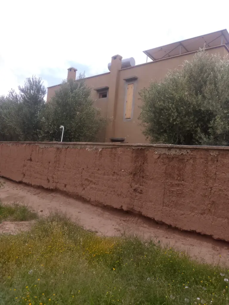 PHOTO-2025-08-26-14-53-22 3.webp