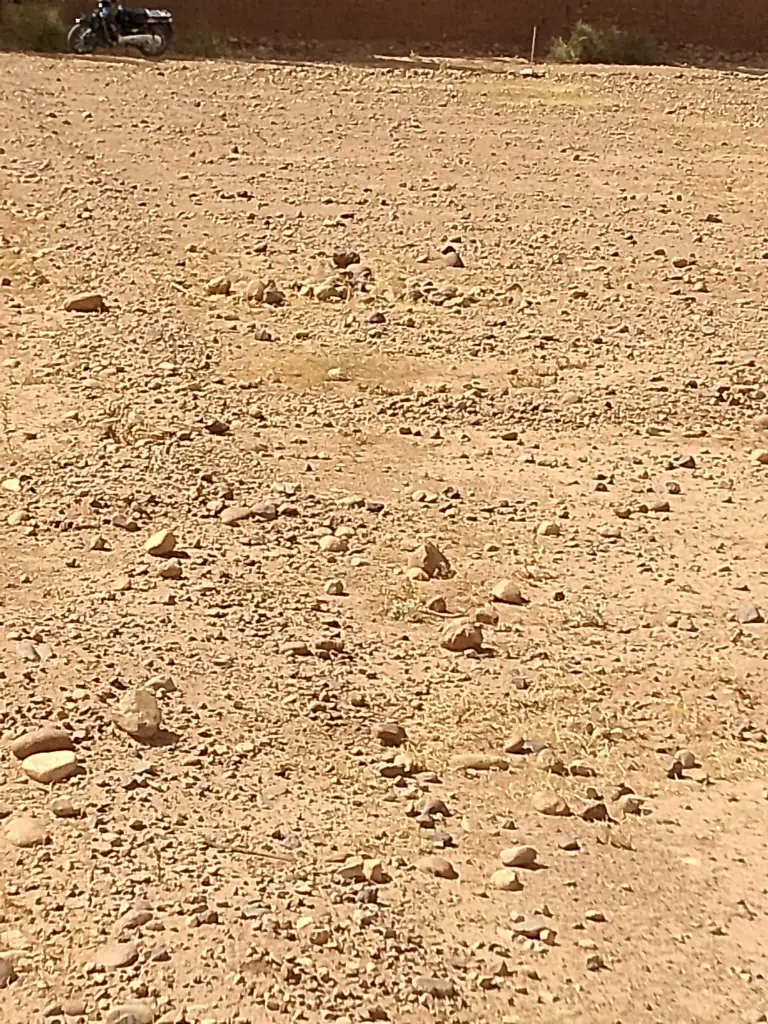 PHOTO-2025-08-26-14-52-24 3.webp