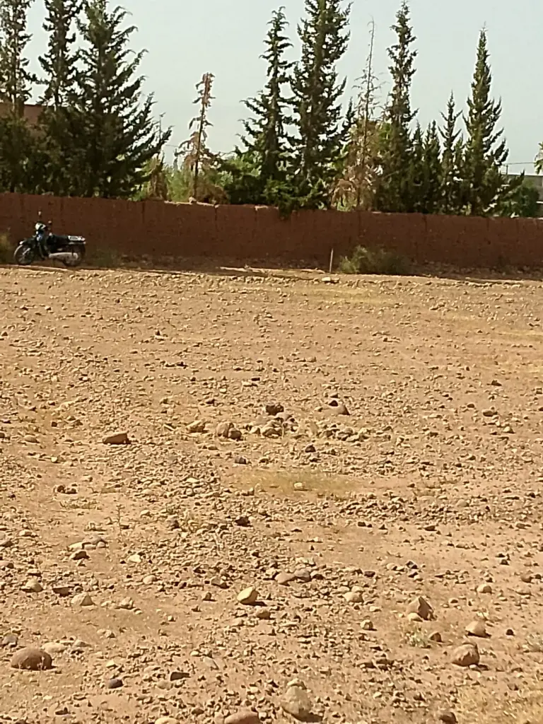 PHOTO-2025-08-26-14-52-24 4.webp