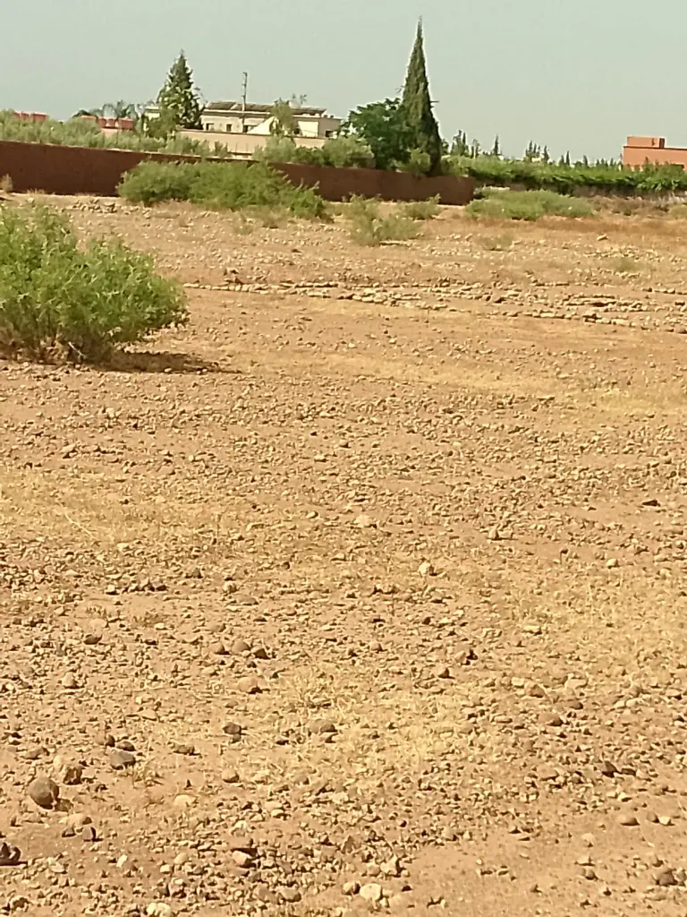 PHOTO-2025-08-26-14-52-24 2.webp