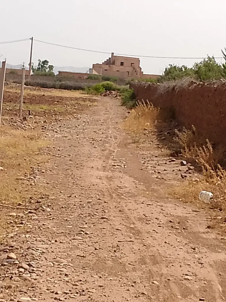 PHOTO-2025-08-26-14-52-23 4.webp