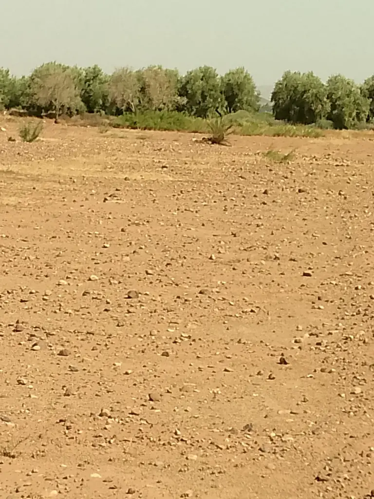 PHOTO-2025-08-26-14-52-23 6.webp