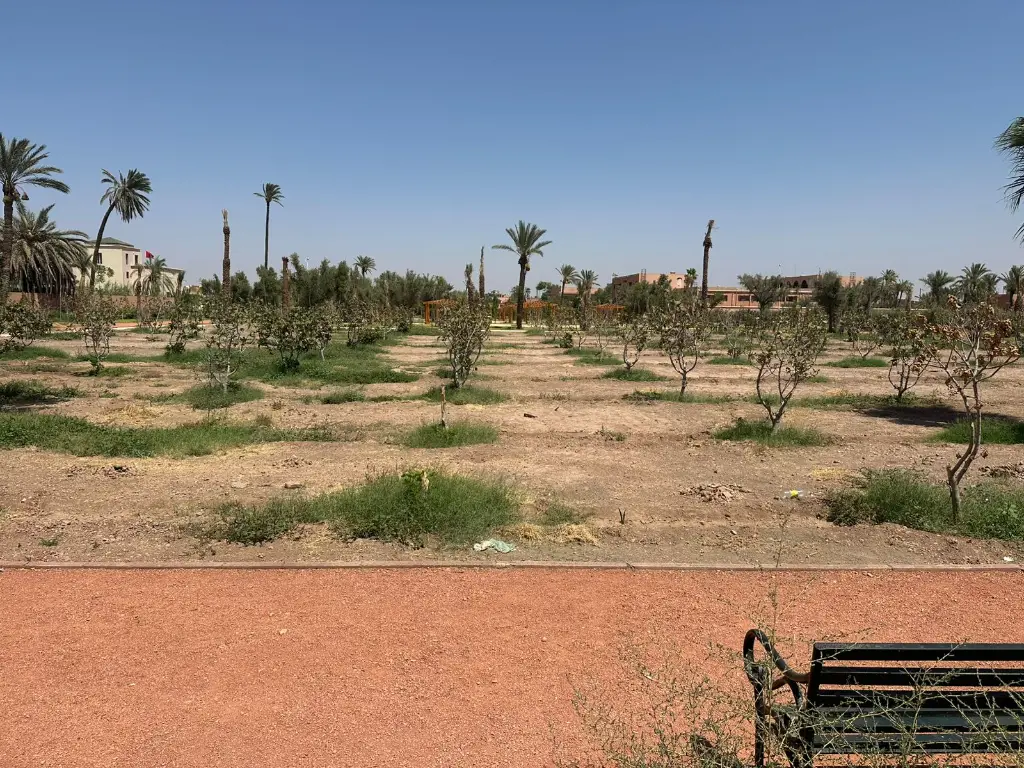 PHOTO-2025-08-27-15-21-10 2.webp