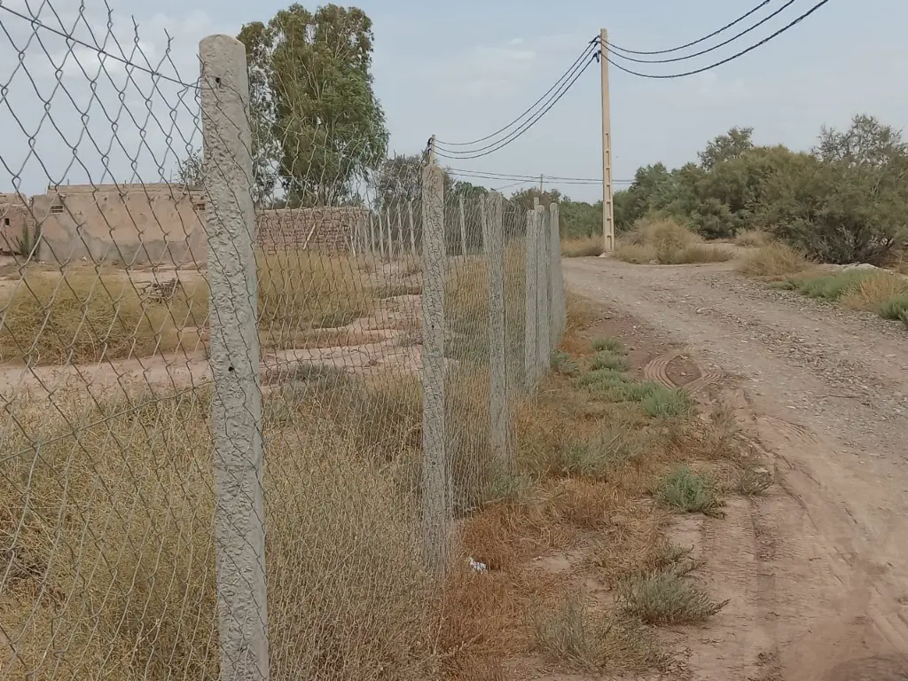 PHOTO-2025-09-20-23-53-36 3.webp