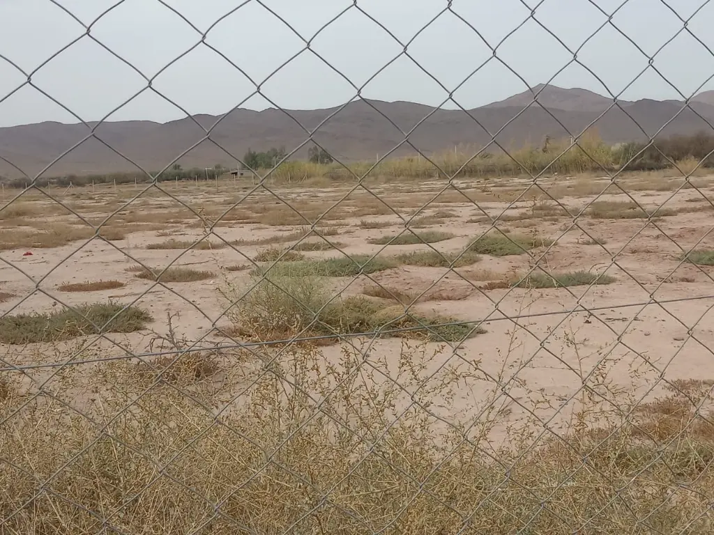 PHOTO-2025-09-20-23-53-36 2.webp