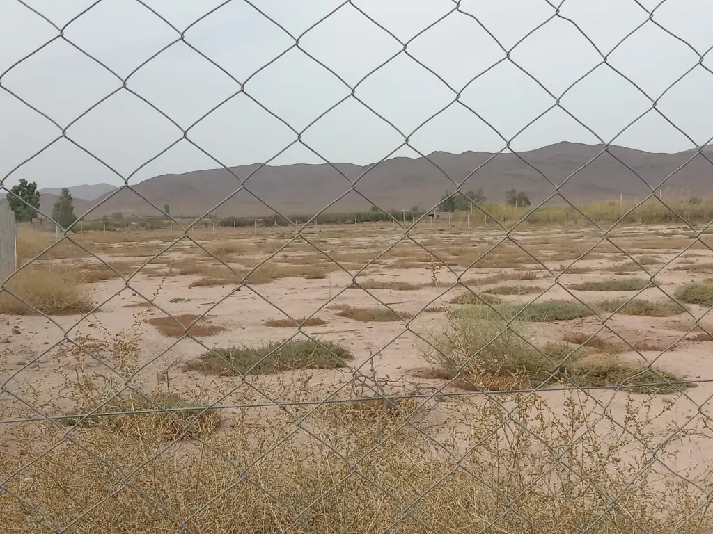 PHOTO-2025-09-20-23-53-37 3.webp