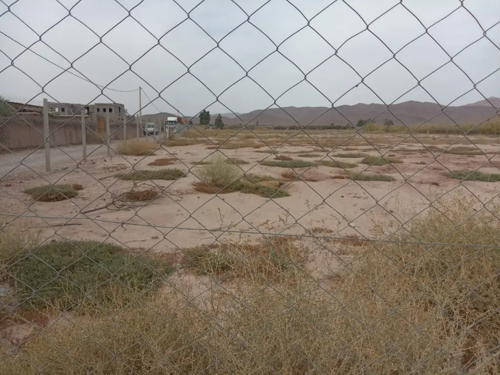 PHOTO-2025-09-20-23-53-38 4.webp