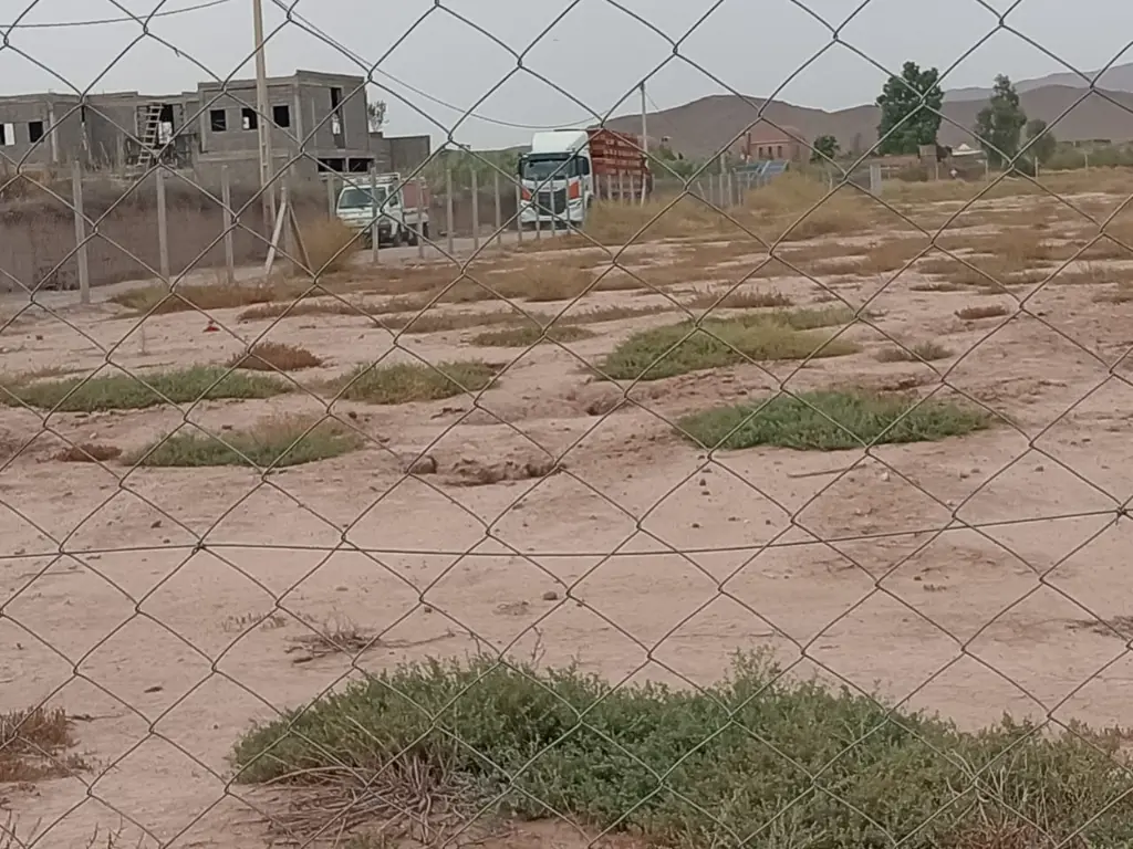 PHOTO-2025-09-20-23-53-37 5.webp