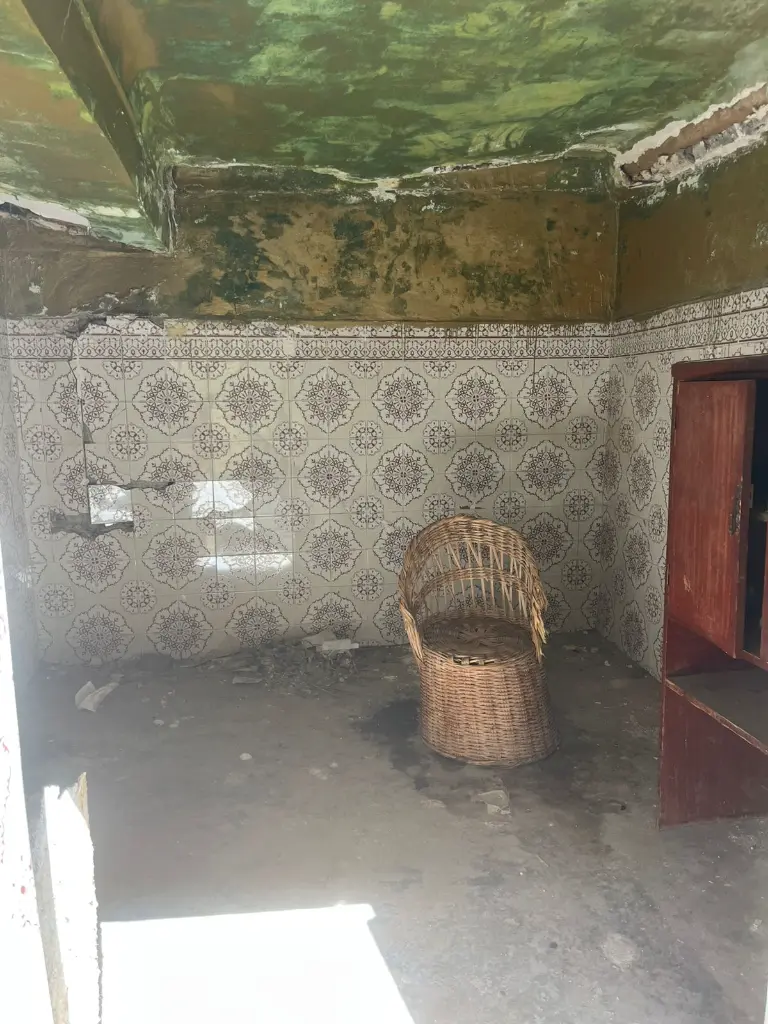 PHOTO-2025-10-13-13-50-21 6.webp