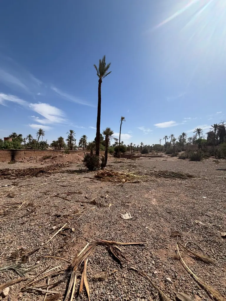 PHOTO-2025-10-14-19-00-31 2.webp