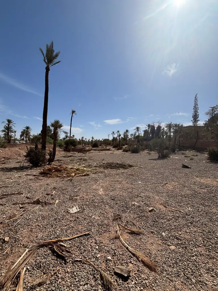 PHOTO-2025-10-14-19-00-31 4.webp