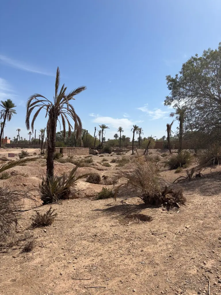 PHOTO-2025-10-14-19-00-31 5.webp