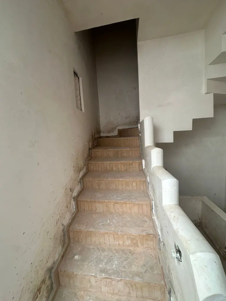 PHOTO-2025-12-05-12-38-03 3.webp