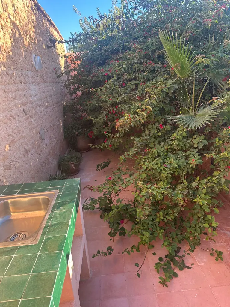 PHOTO-2025-12-05-17-20-43 3.webp