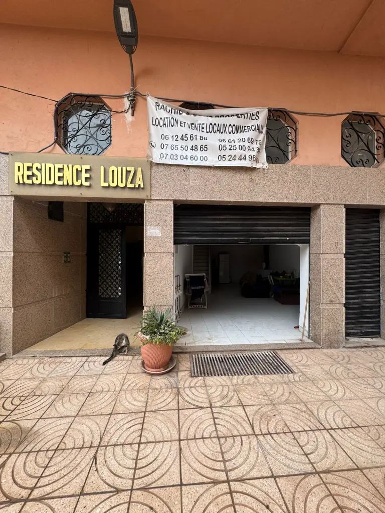 WhatsApp Image 2026-01-14 at 10.38.06.webp