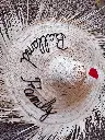 58819e34-afb2-42b9-8f76-4ab9e06a9aa8.webp