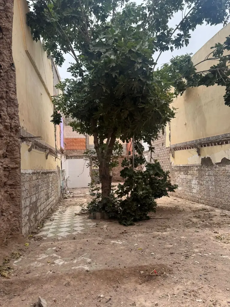 Terrain nu pour riad à construire  