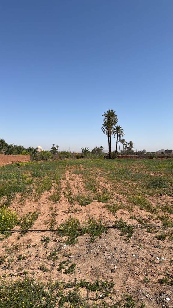 Terrain 5000 m2