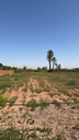 Terrain 5000 m2