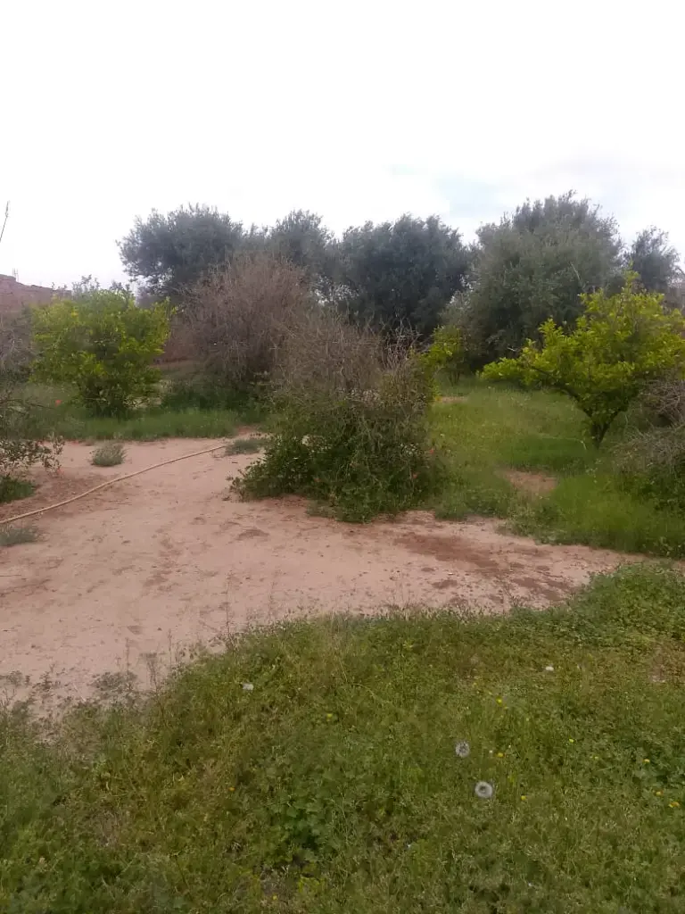 Terrain - Route de Fes 1000 m2