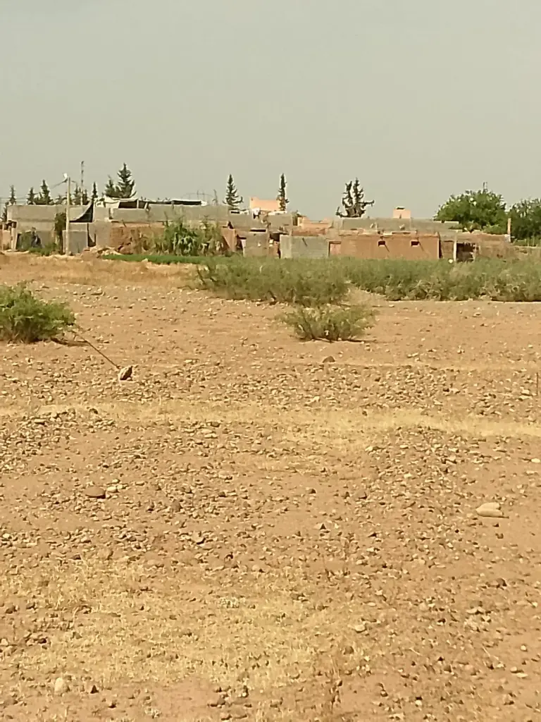 Terrain - Route de Fes 2000 m2 (copie)