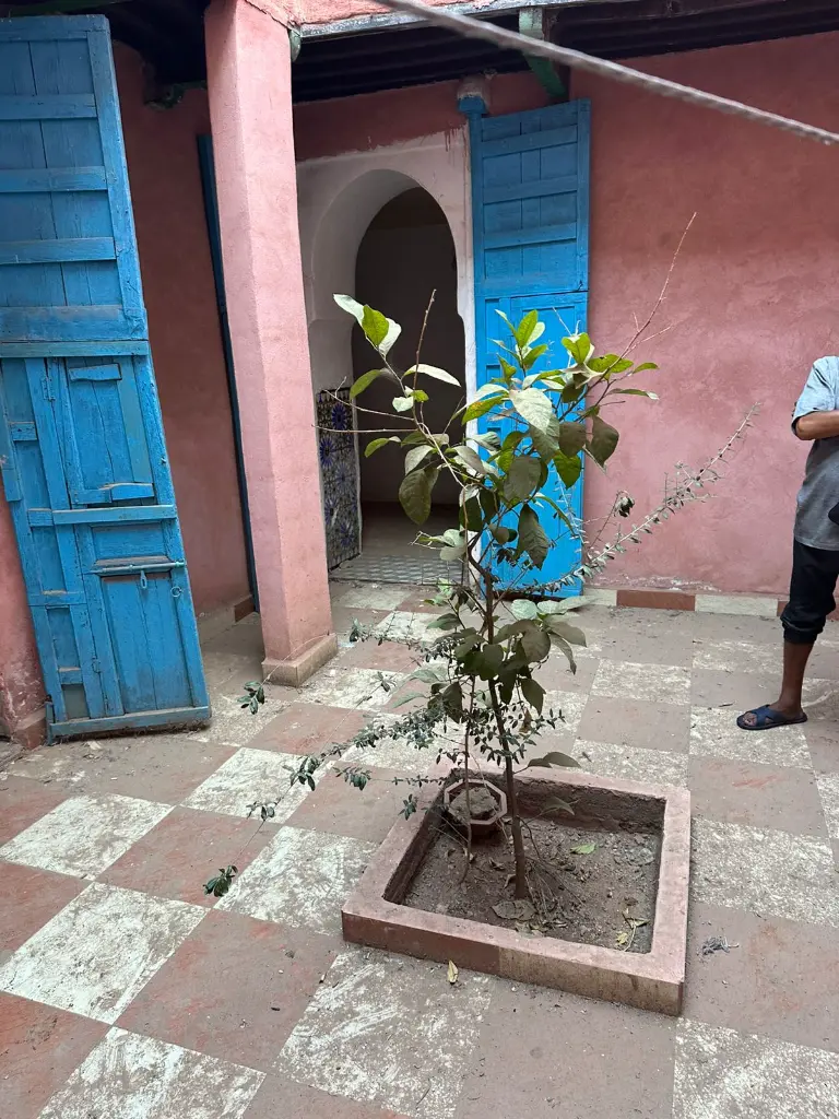 Riad a rénover Derb Dabachi