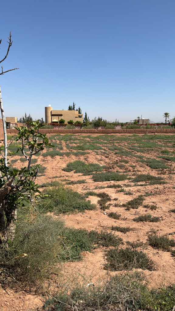 Terrain 1200 m2