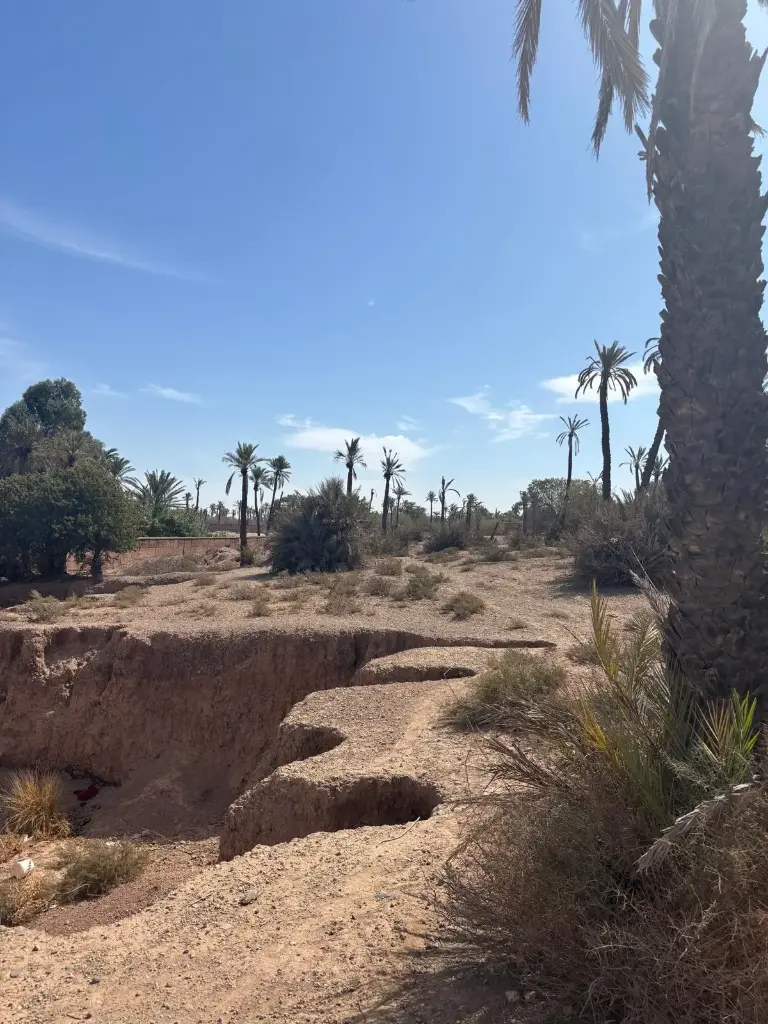 Terrain nu dans la Palmeraie - 9543 m2  